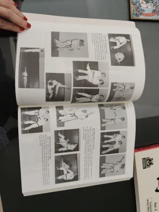 Lote de Libros de artes marciales