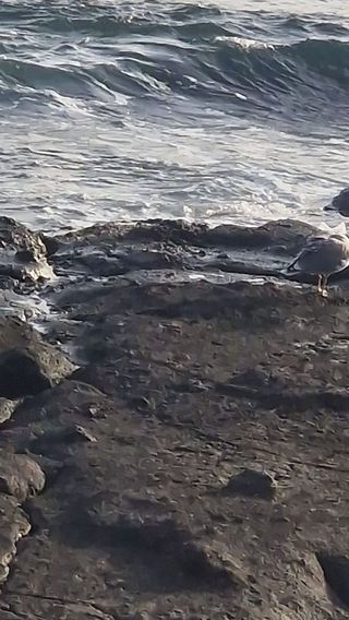 Piso en venta en Isleta en Palmas de Gran Canaria(Las)