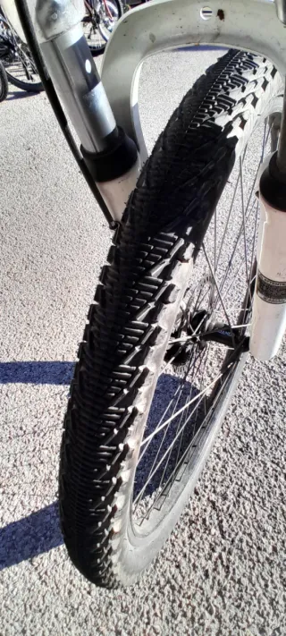 Bicicleta de Montaña