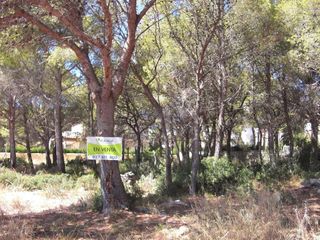 Terreno en venta en Miami Platja - Miami Playa en Mont-Roig del Camp