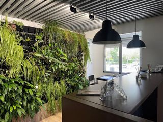 Oficina en alquiler en Huerta Rosales - Valdepasillas en Badajoz