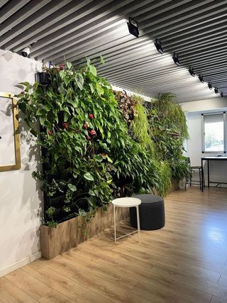 Oficina en alquiler en Huerta Rosales - Valdepasillas en Badajoz