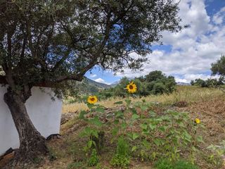 Casa rural en venta en Tolox