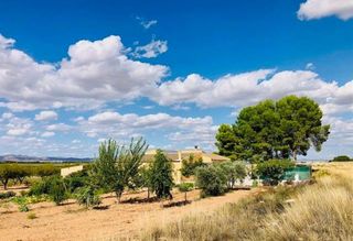 Chalet en venta en Yecla