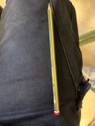 Lápiz usado por Da Vinci