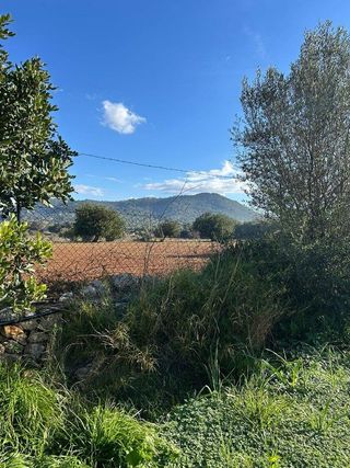 Casa rural en venta en Gran Via de Colom en Inca