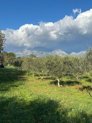 Casa rural en venta en Gran Via de Colom en Inca