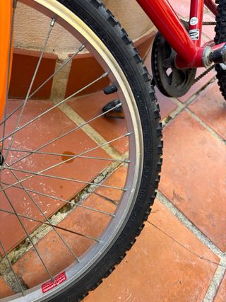 Bicicleta infantil roja y naranja