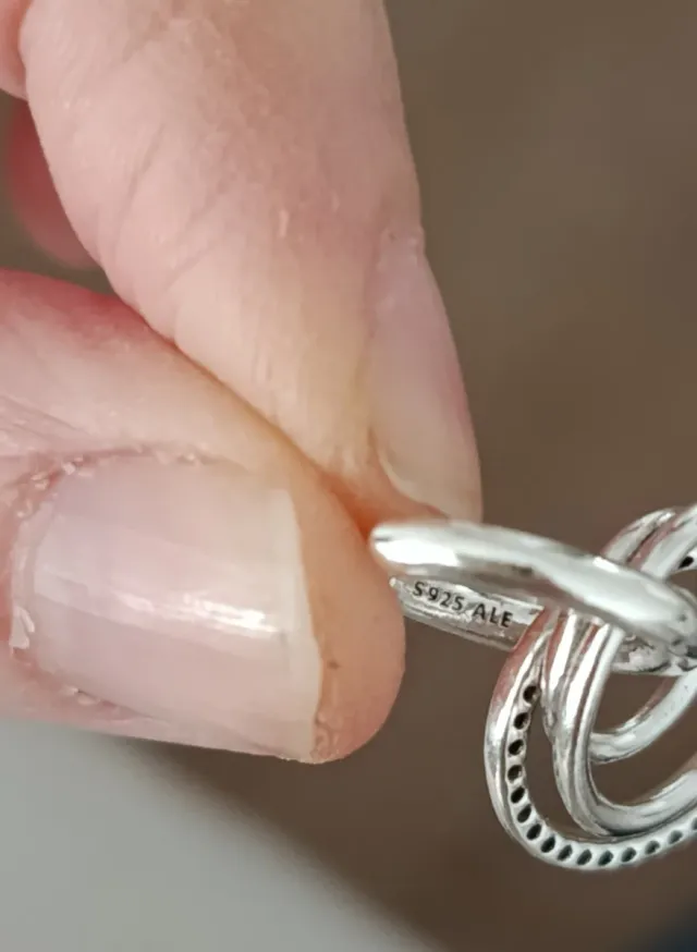 Pendientes Pandora Círculo Familiar