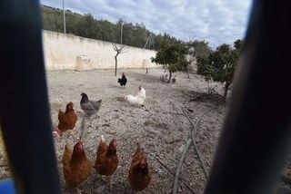 Casa rural en venta en Montefrío