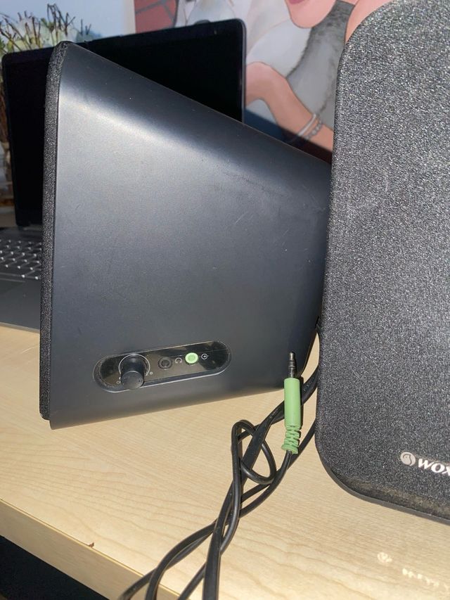 Altoparlanti Woxter Neri