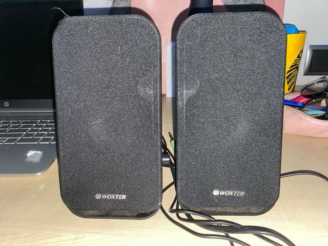 Altoparlanti Woxter Neri