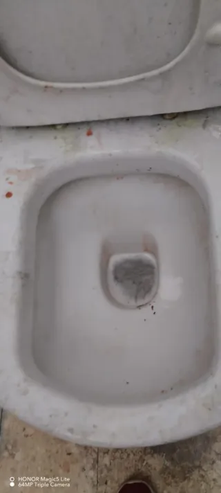 Servicio de limpieza