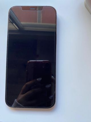 iPhone 12 Pro Max Gris