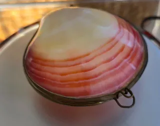 Scatolina conchiglia marina vintage