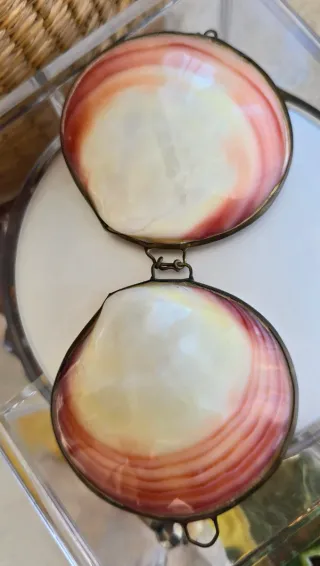 Scatolina conchiglia marina vintage