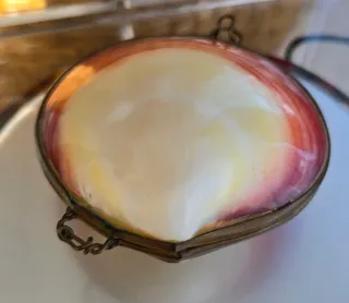 Scatolina conchiglia marina vintage