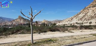 Terreno en venta en Archena