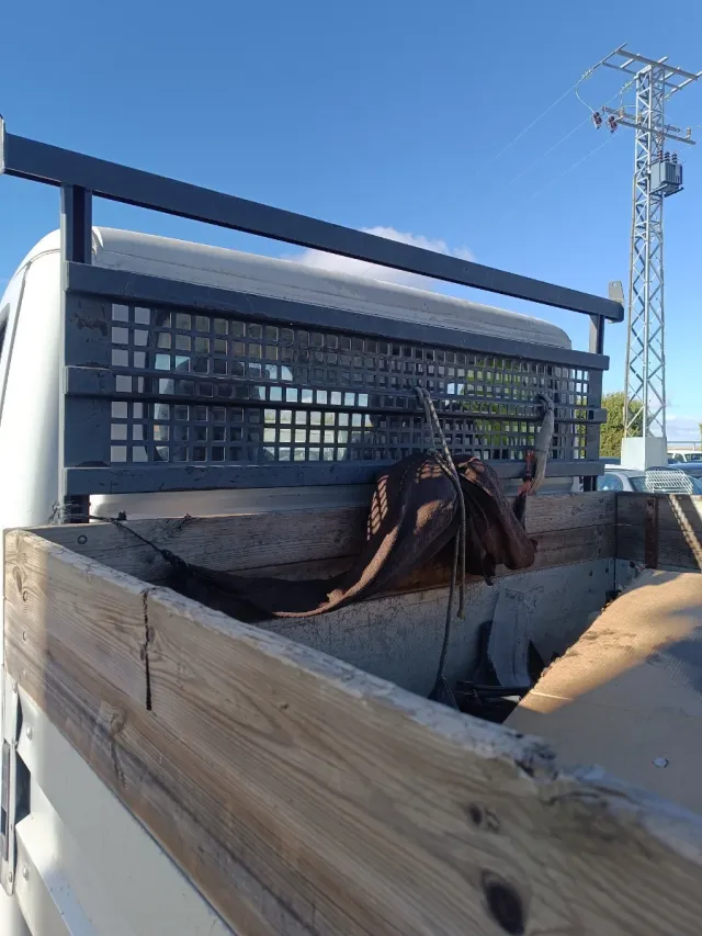 Caja abierta Ducato, Jumper, Boxer