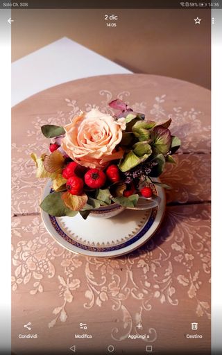 Composizione fiori stabilizzati in tazza