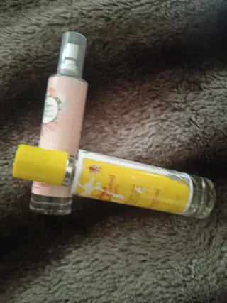 Álvarez Gómez Colonia 2 uds