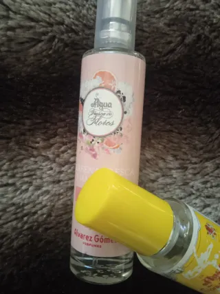 Álvarez Gómez Colonia 2 uds