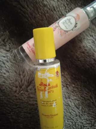 Álvarez Gómez Colonia 2 uds