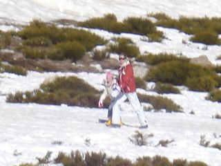 Conjunto de Ropa Deportiva