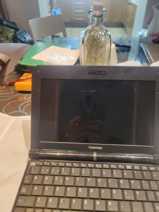 Portátil Toshiba NB200 Negro/Verde