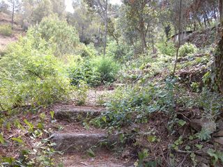 Terreno en venta en Torrelles de Llobregat