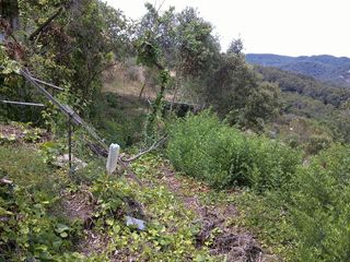 Terreno en venta en Torrelles de Llobregat