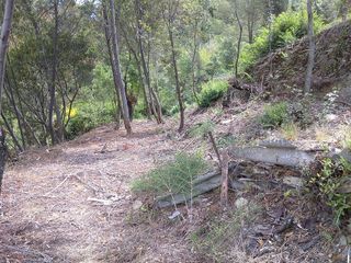 Terreno en venta en Torrelles de Llobregat