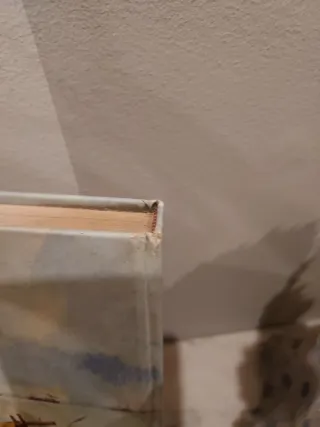 Las aventuras de Tom Sawyer (Clásicos de la Juv...