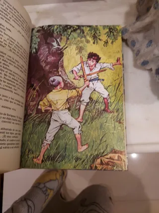 Las aventuras de Tom Sawyer (Clásicos de la Juv...