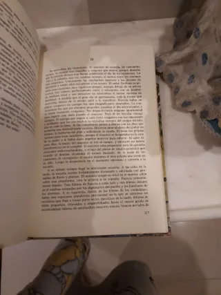 Las aventuras de Tom Sawyer (Clásicos de la Juv...