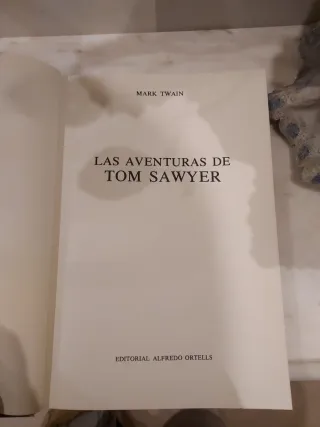 Las aventuras de Tom Sawyer (Clásicos de la Juv...