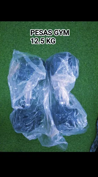 Pesas Gym 12.5 KG (PAR)