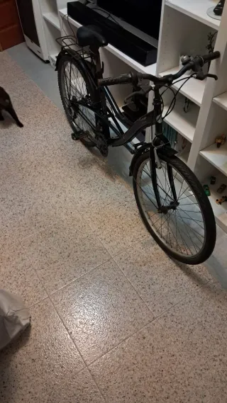 Bicicleta urbana blanca con portabultos