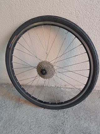 Rodillo Ciclismo Elite + Rueda