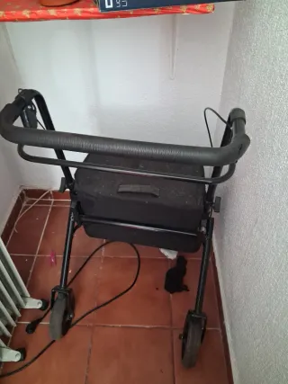 2 Andadores Playcare