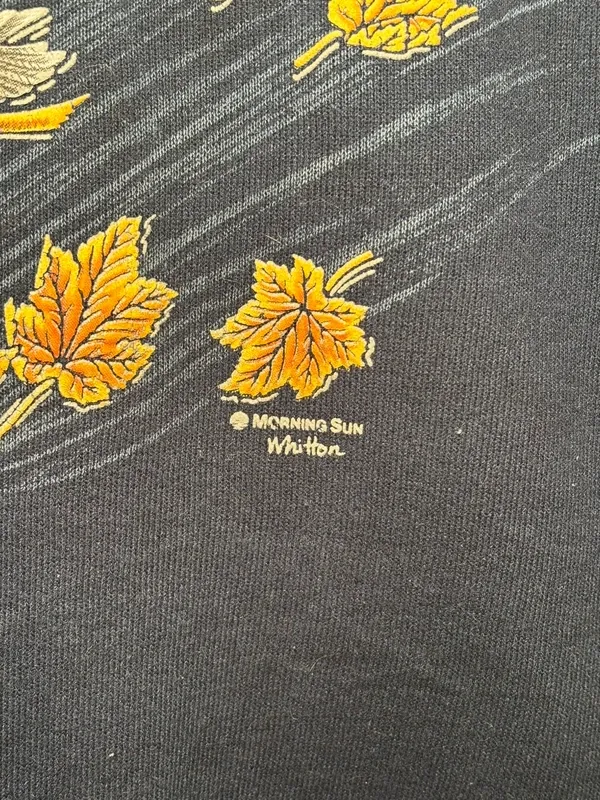 Felpa Vintage Morning Sun Made in USA