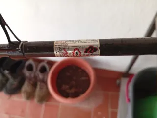 Caña de spiniss y Blas bass