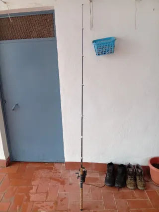 Caña de spiniss y Blas bass