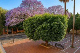 Oficina en alquiler en Playa Bajadilla - Puertos en Marbella
