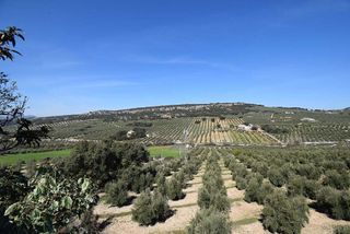 Casa rural en venta en Montefrío