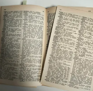 diccionario_illustrado_latino_espanol_vv