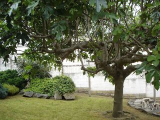 Terreno en venta en San Francisco en Ourense