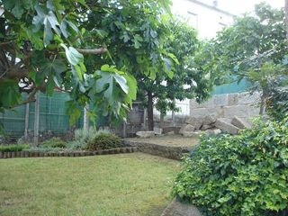 Terreno en venta en San Francisco en Ourense