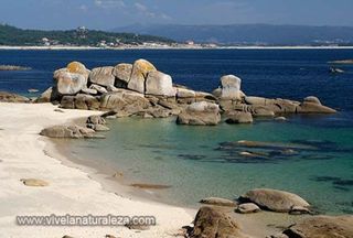 Chalet en venta en Grove (O)