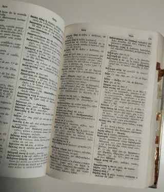 Diccionario Vox Griego-Espanol (Spanish Edition)